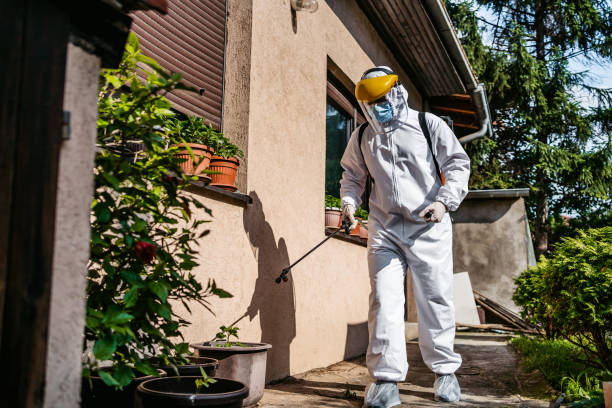 Best Affordable Pest Control Services  in Lavon, TX