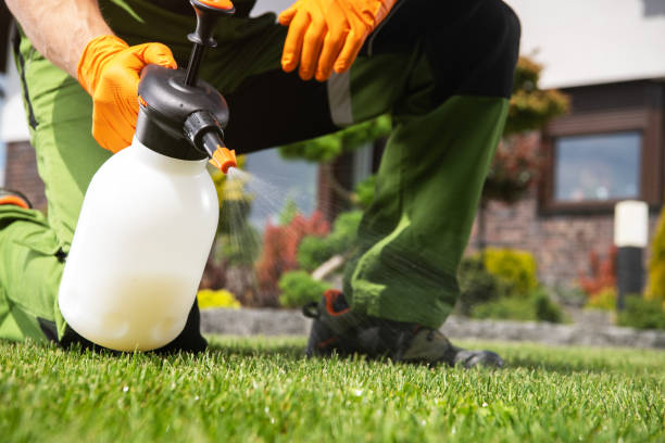 Best Commercial Pest Control Services  in Lavon, TX
