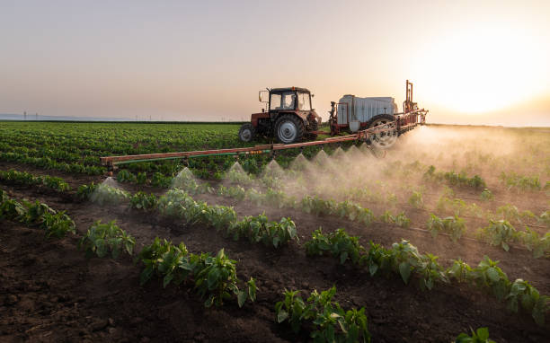 Best Mosquito Control Services  in Lavon, TX
