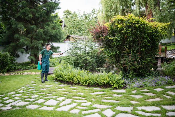 Best Ant Control Services  in Lavon, TX