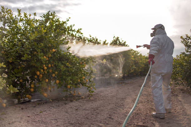 Best Best Pest Control Companies  in Lavon, TX