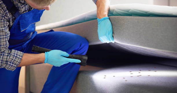 Best Exterminator Services  in Lavon, TX