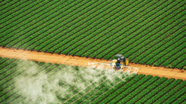 Reliable Lavon, TX Pest Control Solutions