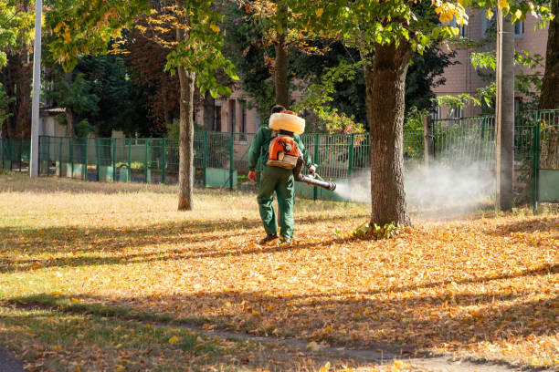 Best Flea Control Services  in Lavon, TX