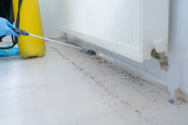 Best Affordable Pest Control Services  in Lavon, TX