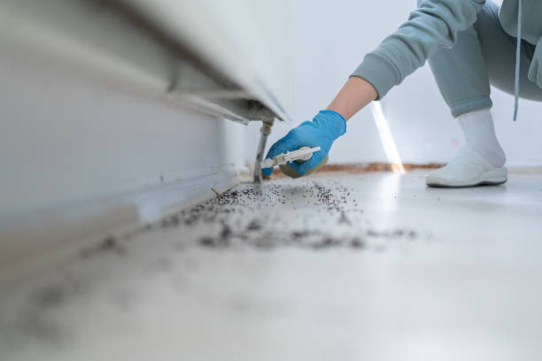 Best Best Pest Control Companies  in Lavon, TX
